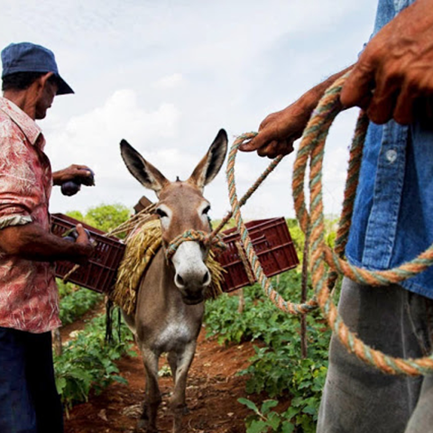 Supply Chain Enterprise