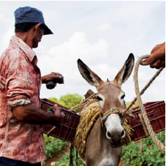 supply chain enterprises