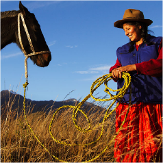 distribution enterprises