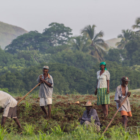 Empowering over 13,000 beneficiaries in the next 10 years