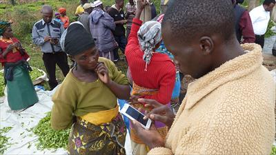Improving livelihoods for smallholder farmers through mobile technology