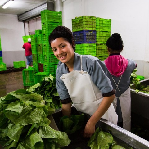 Building a win win agribusiness solution