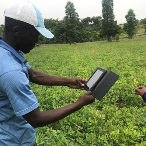 Farm to fork: Innovations reshaping smallholders’ market access