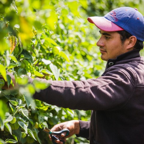 Before the Handshake: How to Make Corporate-Social Enterprise Partnerships Work